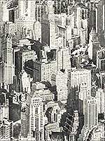 New York City Peel And Stick Wallpaper RMK9042WP by York Wallpaper for sale at Wallpapers To Go