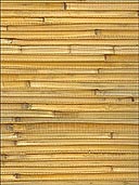 Bamboo Wallpaper WS336 by Astek Wallpaper for sale at Wallpapers To Go