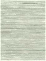 Bondi Seafoam Grasscloth Texture Wallpaper 2765BW40914 by Kenneth James Wallpaper for sale at Wallpapers To Go