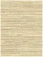 Bondi Wheat Grasscloth Texture Wallpaper 2765BW40915 by Kenneth James Wallpaper for sale at Wallpapers To Go