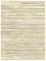 Bondi Neutral Grasscloth Texture Wallpaper 2765BW40916 by Kenneth James Wallpaper for sale at Wallpapers To Go