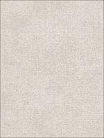 Agata Light Grey Linen Wallpaper 379002 by Eijffinger Wallpaper for sale at Wallpapers To Go