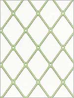 Easom Trellis Green Wallpaper T4051 by Thibaut Wallpaper for sale at Wallpapers To Go