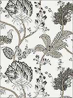 Kalamkari Vine Black and White Wallpaper AT78739 by Anna French Wallpaper for sale at Wallpapers To Go