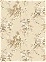 Koi Beige Wallpaper SO2401 by Candice Olson Wallpaper for sale at Wallpapers To Go