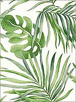 Paradise Palm Green Wallpaper SO2450 by Candice Olson Wallpaper for sale at Wallpapers To Go