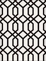 Trellis Black Montauk Wallpaper FD23270 by Brewster Wallpaper for sale at Wallpapers To Go