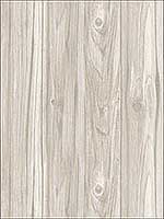 Paneling Grey Wide Plank Wallpaper FD23280 by Brewster Wallpaper for sale at Wallpapers To Go