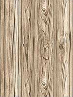 Paneling Brown Wide Plank Wallpaper FD23281 by Brewster Wallpaper for sale at Wallpapers To Go