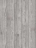 Mammoth Light Grey Lumber Wood Wallpaper UW24767 by Brewster Wallpaper for sale at Wallpapers To Go