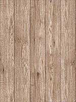 Mammoth Brown Lumber Wood Wallpaper UW24768 by Brewster Wallpaper for sale at Wallpapers To Go