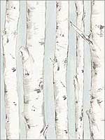 Pioneer Light Blue Birch Tree Wallpaper 311812602 by Chesapeake Wallpaper for sale at Wallpapers To Go