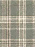 Saranac Sage Flannel Wallpaper 311812673 by Chesapeake Wallpaper for sale at Wallpapers To Go
