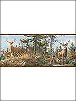 Whitetail Crest Multicolor Forest Border 311848463B by Chesapeake Wallpaper for sale at Wallpapers To Go