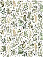 Britta Green Herbs 2 Panel Wall Mural 2821SM25155 by A Street Prints Wallpaper for sale at Wallpapers To Go