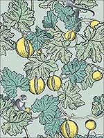 Frutto Proibito Seafoam Lemon Wallpaper 1141002 by Cole and Son Wallpaper for sale at Wallpapers To Go