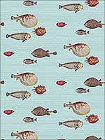 Acquario Pale Blue Multi Wallpaper 9710030 by Cole and Son Wallpaper for sale at Wallpapers To Go
