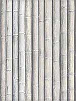 Bamboo Grey Wallpaper G67942 by Patton Norwall Wallpaper for sale at Wallpapers To Go