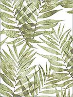 Speckled Palm Green Wallpaper G67944 by Patton Norwall Wallpaper for sale at Wallpapers To Go