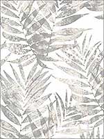 Speckled Palm Grey Wallpaper G67945 by Patton Norwall Wallpaper for sale at Wallpapers To Go