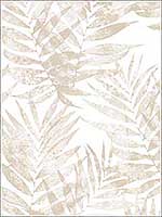 Speckled Palm Grey Wallpaper G67947 by Patton Norwall Wallpaper for sale at Wallpapers To Go