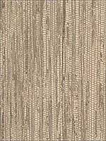 Rough Grass Beige Wallpaper G67965 by Patton Norwall Wallpaper for sale at Wallpapers To Go