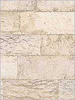 Organic Stone Beige Wallpaper G67968 by Patton Norwall Wallpaper for sale at Wallpapers To Go