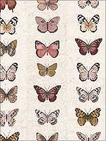 Jewel Butterflies Stripe Beige Wallpaper G67992 by Patton Norwall Wallpaper for sale at Wallpapers To Go