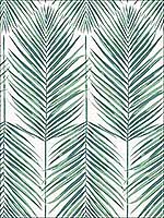 Paradise Tropic Green Wallpaper MB30014 by Seabrook Wallpaper for sale at Wallpapers To Go