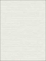 Subtle Grasscloth Wallpaper SL11608 by Wallquest Wallpaper for sale at Wallpapers To Go
