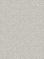 Skin Metallic Light Grey Wallpaper Y6230401 by Antonina Vella Wallpaper for sale at Wallpapers To Go