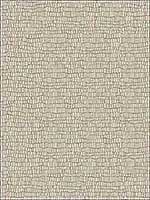 Skin Metallic Beige Wallpaper Y6230402 by Antonina Vella Wallpaper for sale at Wallpapers To Go