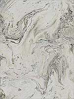 Oil and Marble Metallic Grey Glint Wallpaper Y6231203 by Antonina Vella Wallpaper for sale at Wallpapers To Go