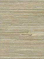 Iriga Gold Grasscloth Wallpaper 282980002 by A Street Prints Wallpaper for sale at Wallpapers To Go