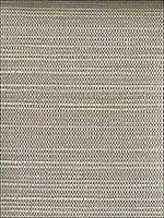 Liaohe Platinum Grasscloth Wallpaper 282980032 by A Street Prints Wallpaper for sale at Wallpapers To Go