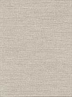 Essence Neutral Linen Texture Wallpaper 282982058 by A Street Prints Wallpaper for sale at Wallpapers To Go