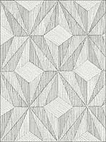 Paragon Silver Geometric Wallpaper 290887102 by A Street Prints Wallpaper for sale at Wallpapers To Go