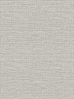 Agave Bliss Dove Faux Grasscloth Wallpaper 290124279 by A Street Prints Wallpaper for sale at Wallpapers To Go