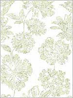 Folia Light Green Floral Wallpaper 290125419 by A Street Prints Wallpaper for sale at Wallpapers To Go
