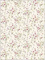 Sweet Pea Pink Wallpaper 1006028 by Cole and Son Wallpaper for sale at Wallpapers To Go