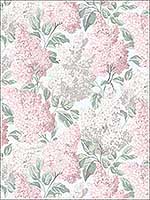Lilac Bslipper Dve Sbirch Wallpaper 1151002 by Cole and Son Wallpaper for sale at Wallpapers To Go