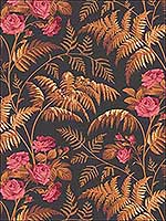 Rose Cerise B Orange Black Wallpaper 11510029 by Cole and Son Wallpaper for sale at Wallpapers To Go