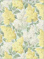 Lilac Lemon Olive Prm Blue Wallpaper 1151003 by Cole and Son Wallpaper for sale at Wallpapers To Go
