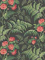 Rose Red L Green Charcoal Wallpaper 11510030 by Cole and Son Wallpaper for sale at Wallpapers To Go