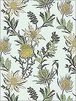Thistle Lemon Olive D Egg Wallpaper 11514042 by Cole and Son Wallpaper for sale at Wallpapers To Go