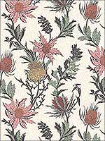Thistle A Pink Orange Parch Wallpaper 11514043 by Cole and Son Wallpaper for sale at Wallpapers To Go