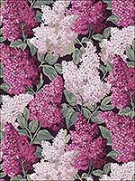Lilac Grandiflora M B C Wallpaper 11515045 by Cole and Son Wallpaper for sale at Wallpapers To Go