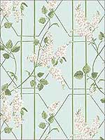 Wisteria Stone Olive D Egg Wallpaper 1155014 by Cole and Son Wallpaper for sale at Wallpapers To Go