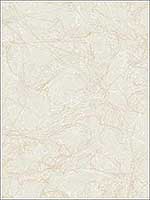 Paint Splatter Metallic Gold and Ivory Wallpaper AW71425 by Collins and Company Wallpaper for sale at Wallpapers To Go