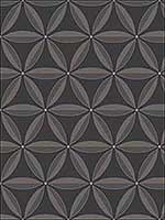 Lens Geometric Ebony and Charcoal Wallpaper AW71710 by Collins and Company Wallpaper for sale at Wallpapers To Go